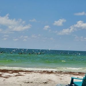 Meet your Posher, Janelle